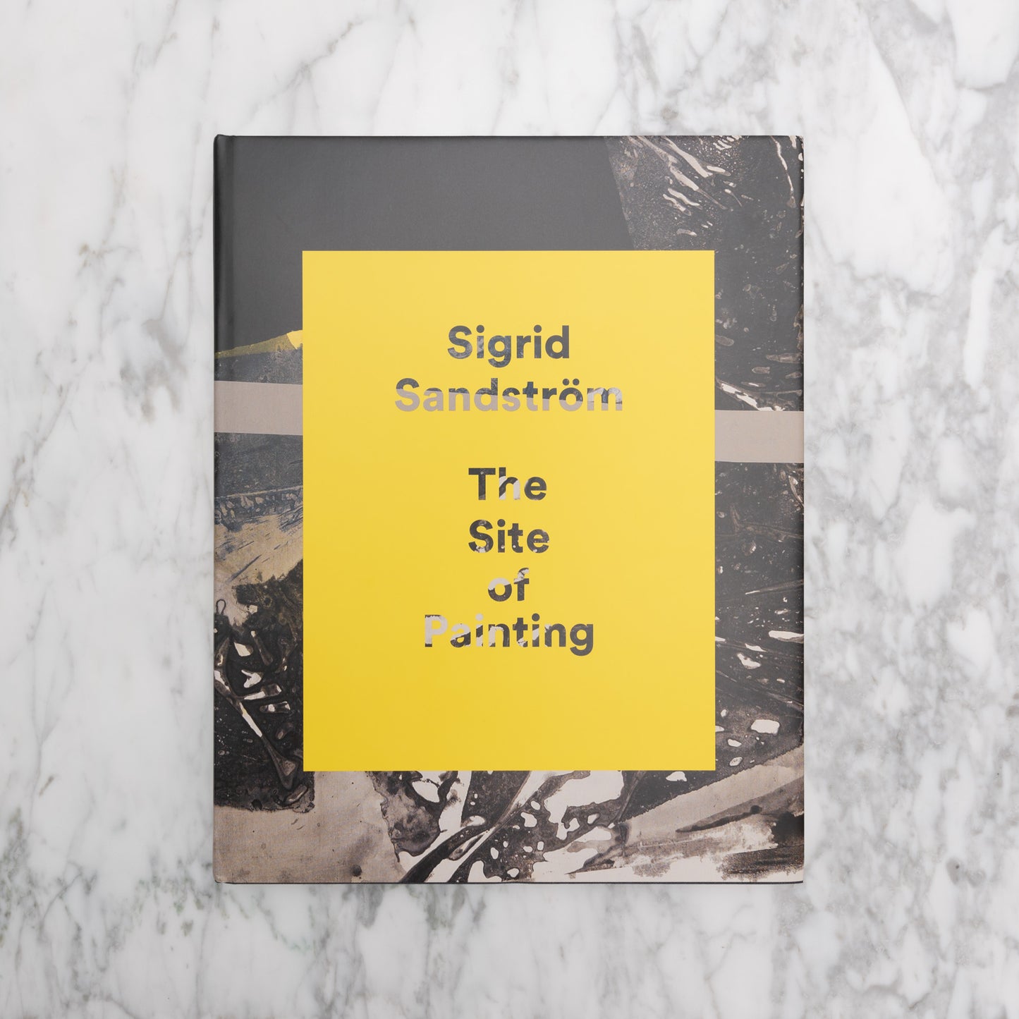 Sigrid Sandström: The Site of Painting
