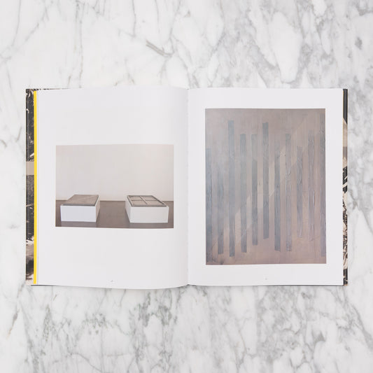 Sigrid Sandström: The Site of Painting