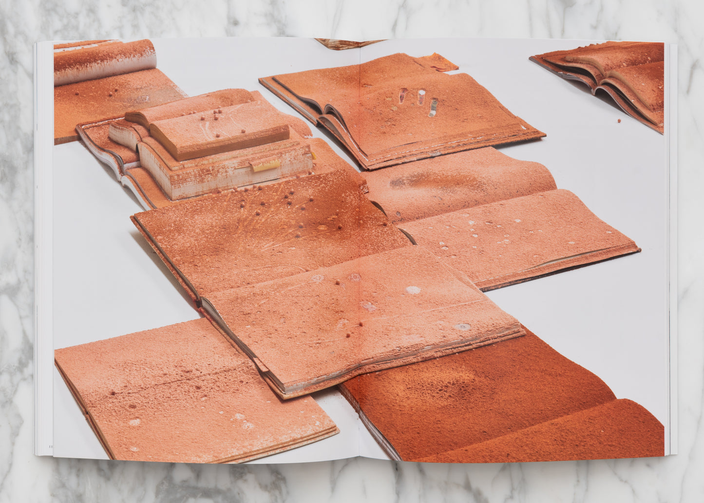 Amie Dicke: Handle / Collecting Alibis